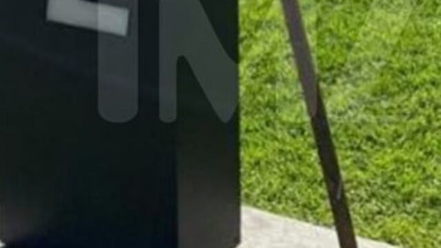 Dejan cabeza de cerdo