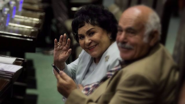 carmensalinasdelfinagomez