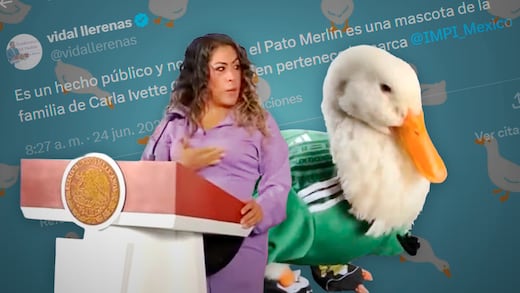 Marca del Pato Merlín pertenece a la familia de Carla Ivette Gómez, afirma Vidal Llerenas