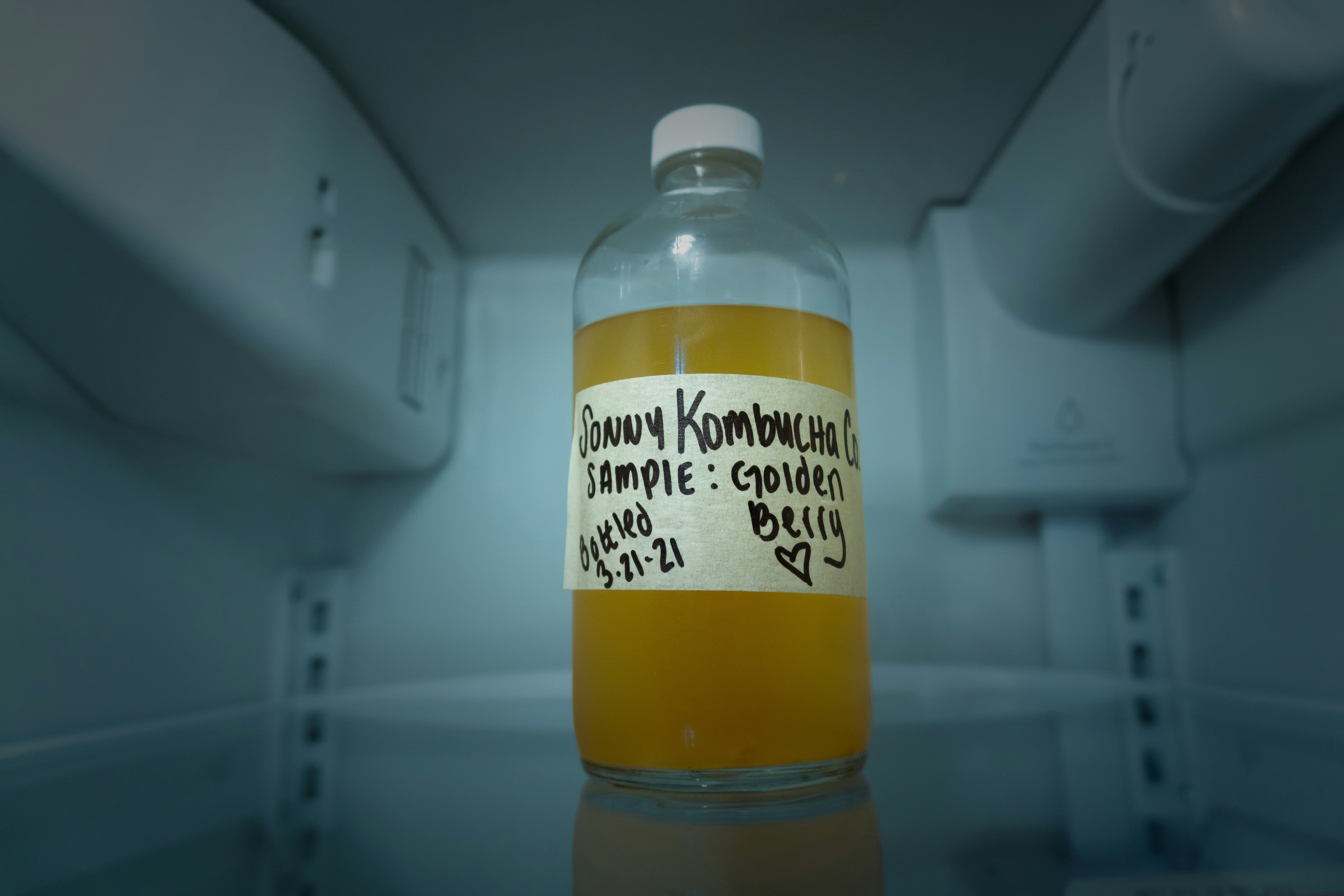 Este 21 de febrero es el Día Internacional de la Kombucha