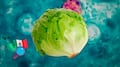 Identifican la lechuga vinculada al brote de ciclosporiasis con proveedor mexicano