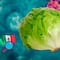 Identifican la lechuga vinculada al brote de ciclosporiasis con proveedor mexicano