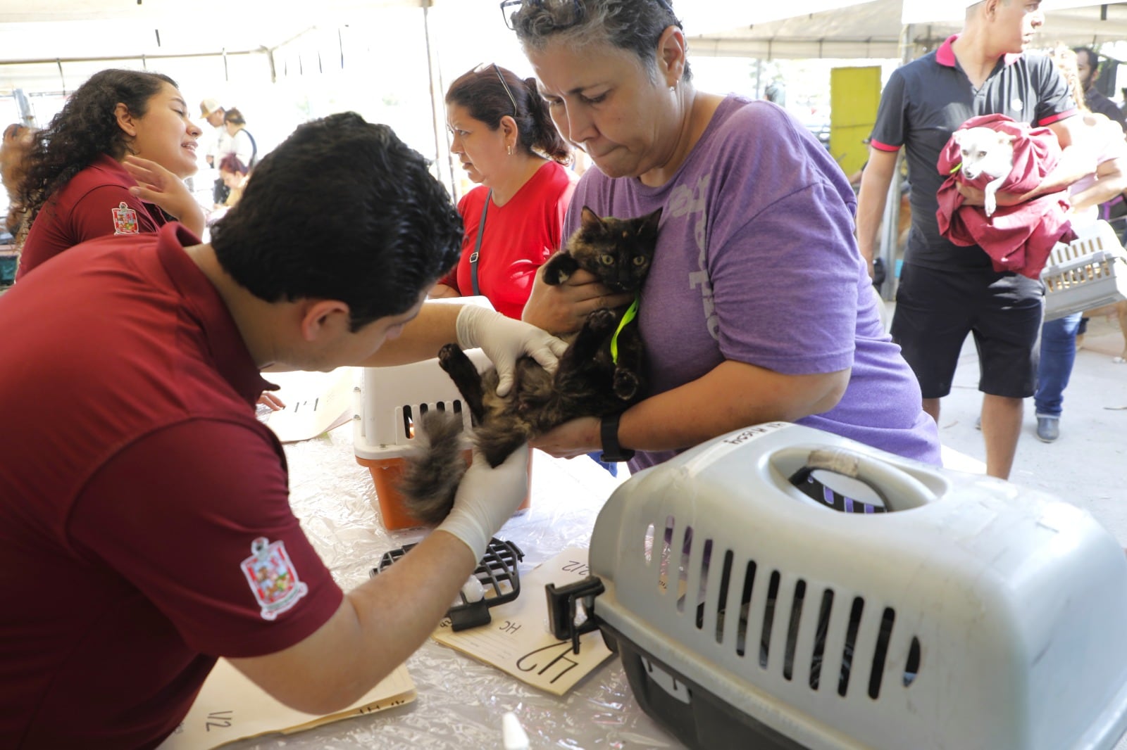 Escobedo impulsa esterilización gratuita de perros y gatos
