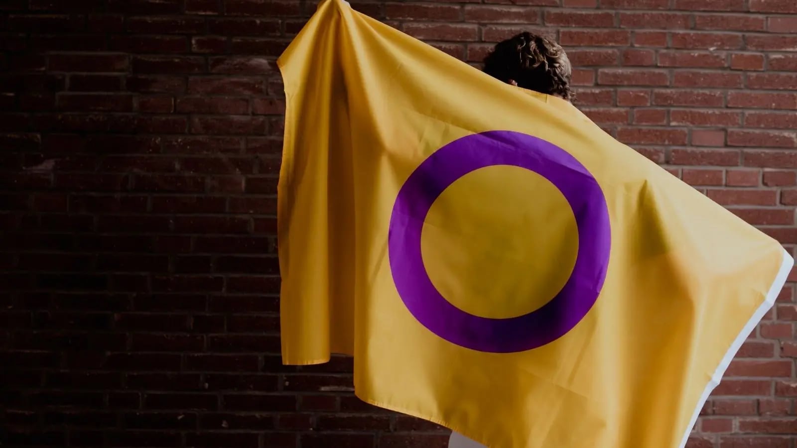 ¿Qué se celebra el 8 de noviembre? Hoy es el concierto de Peso Pluma y el Día de la Solidaridad Intersexual