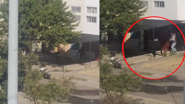 ¿Qué pasó en Tlajomulco, Jalisco? Reportan enfrentamiento