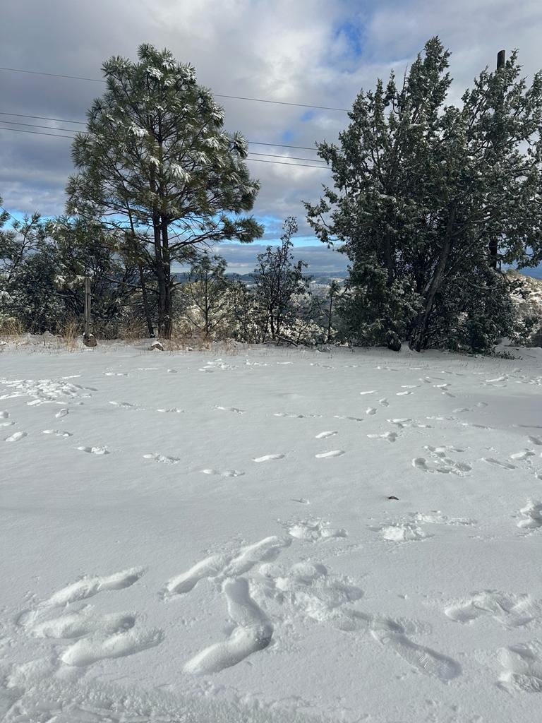 Nieve en Sonora: Frente Frío 25 dejó imágenes muy bellas pero afectaciones en carreteras