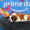 Cama para perro extra grande de Furbedz está al mejor precio hoy en el Amazon Prime Day 2025