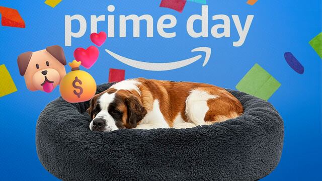 Amazon Prime Day 2025