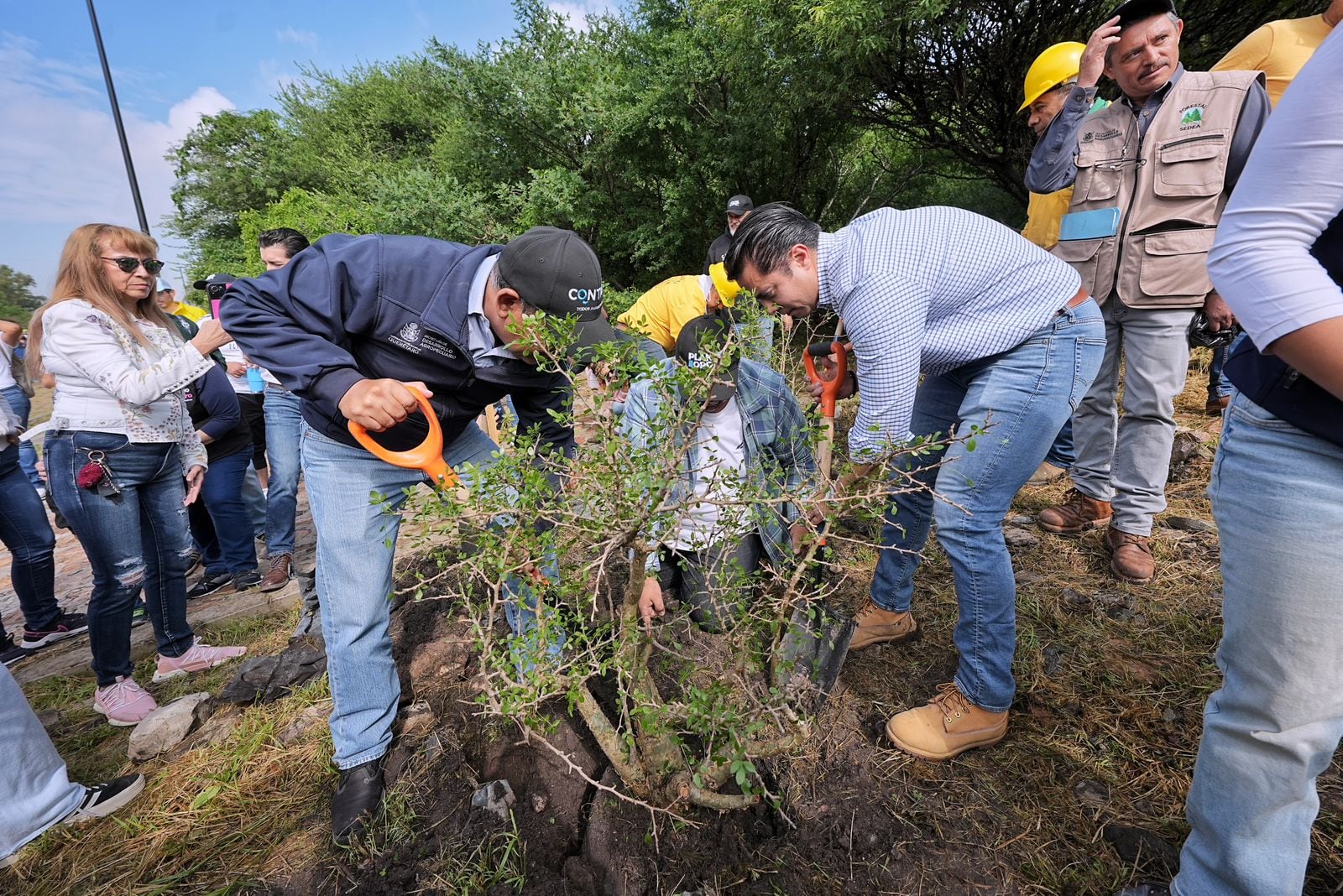 Felifer Macías participa en jornada de reforestación “Reverdecer Querétaro”