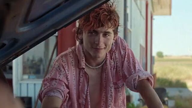 Timothée Chalamet en la película: Bones And All