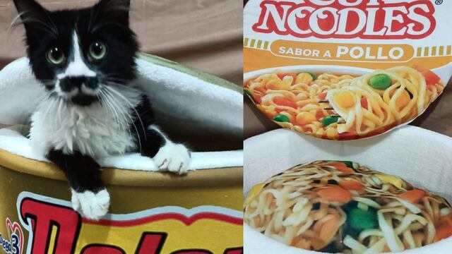 Camas para gato y perro