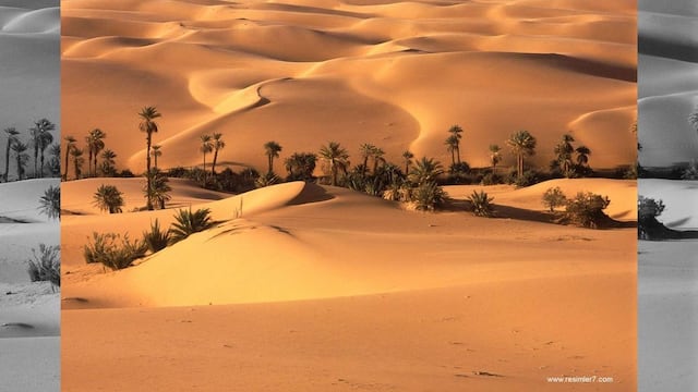 Mexicanos abatidos "por error" visitaban el oasis turístico de Bahariya