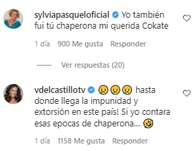 Kate del Castillo habla del Baby'O.