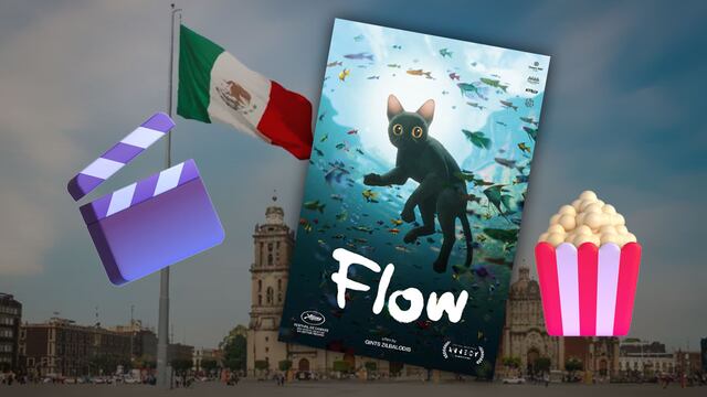 Flow en el Zócalo CDMX