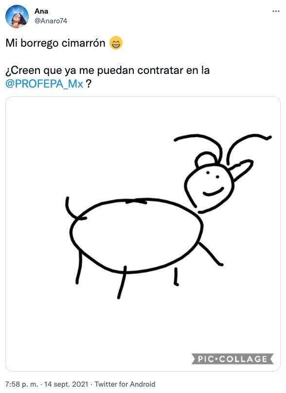 Tuit sobre borrego cimarrón