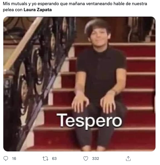 Memes de Laura Zapata y su pelea con las fans de Harry Styles