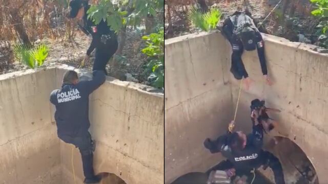 VIDEO: Policías de Culiacán rescatan a perrito atrapado en el drenaje