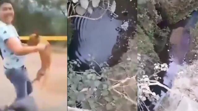 Maltrato animal en Peribán