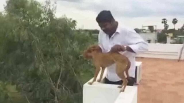 Gautham Sudarshan, de la India.