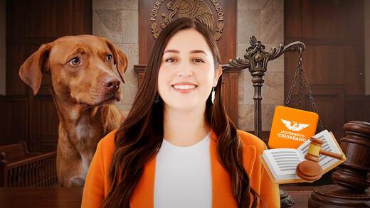 Diputada de MC propone custodia y manutención de mascotas tras una separación