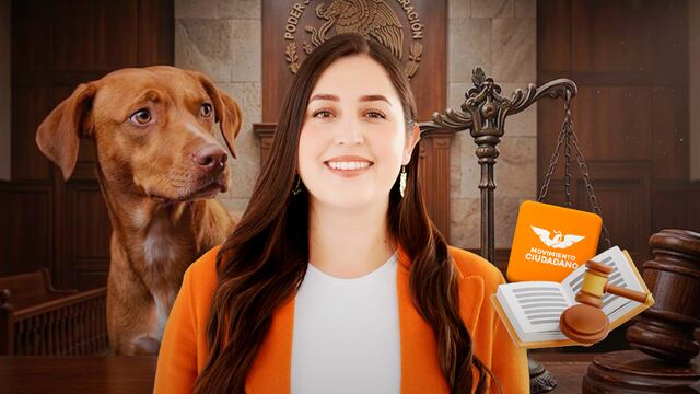 Diputada de MC propone custodia y manutención de mascotas tras una separación