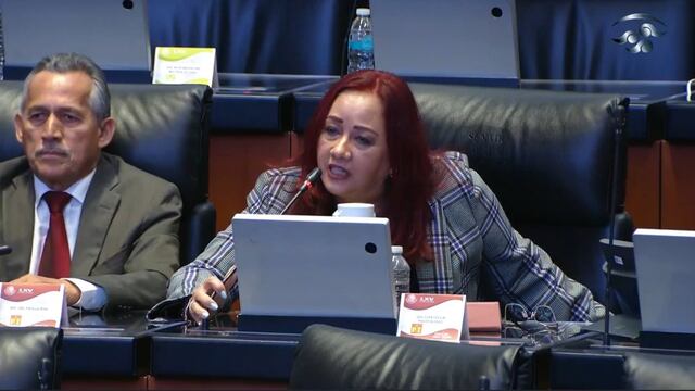 Senadora de Morena propone donar un día de salario para apoyar a víctimas de huracán Otis