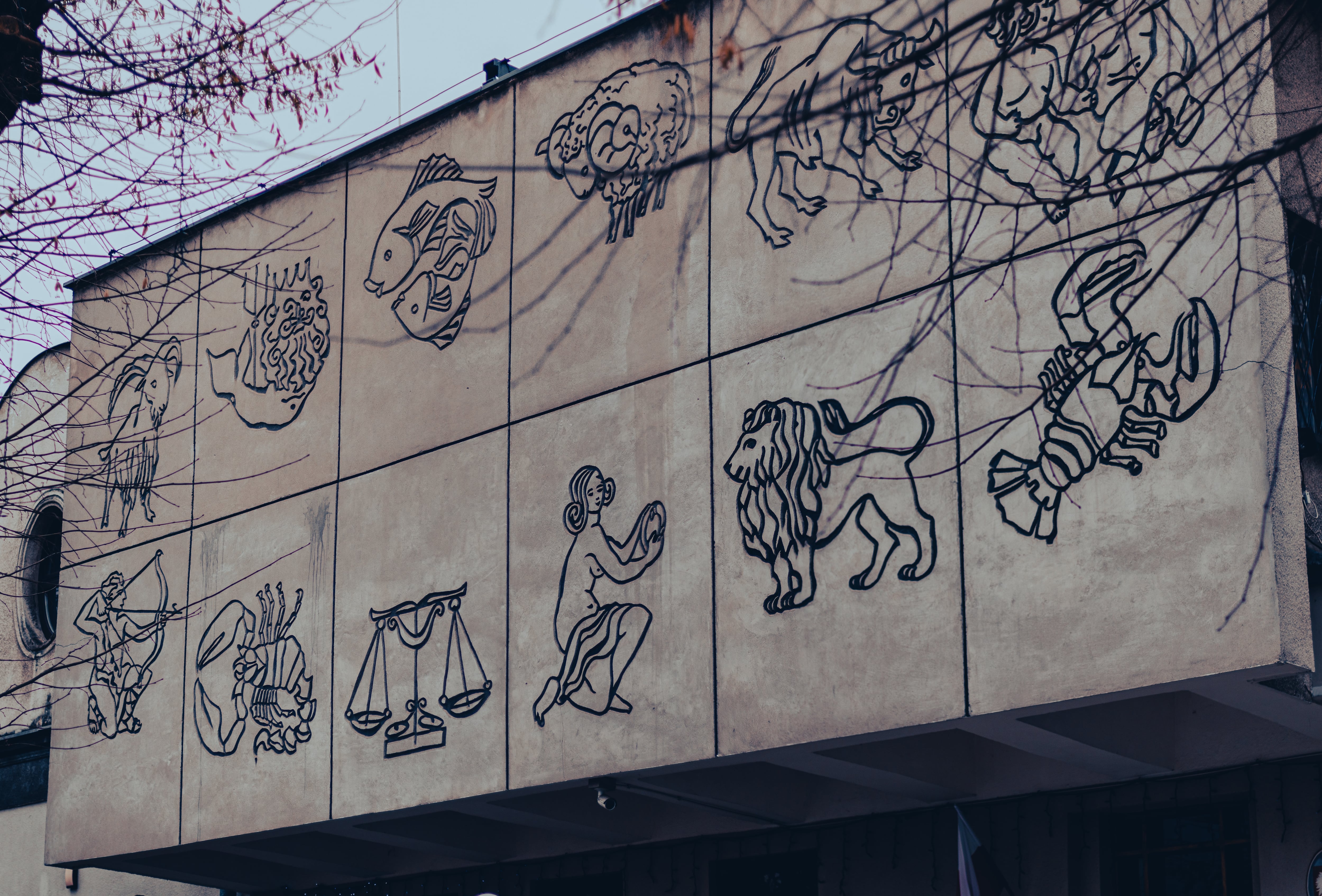 Signos zodiacales del horóscopo