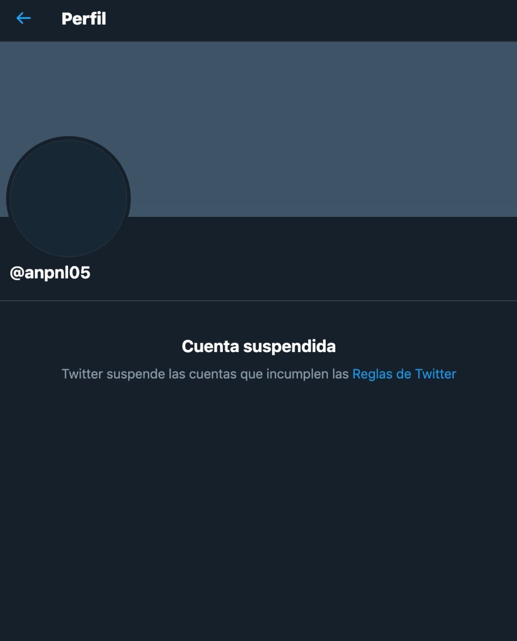 Twitter suspende cuenta de Paty Navidad