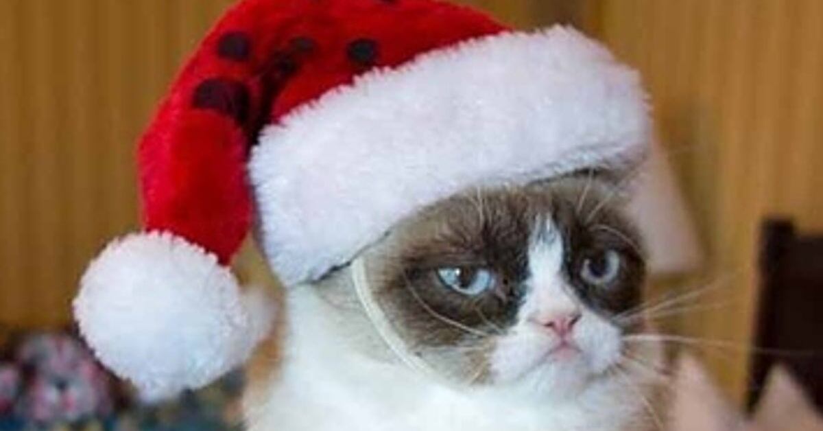 Los 7 mejores memes de Navidad para enviarle a los que recibieron ...