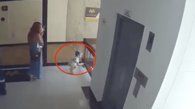 Su hijo estuvo a punto de morir.