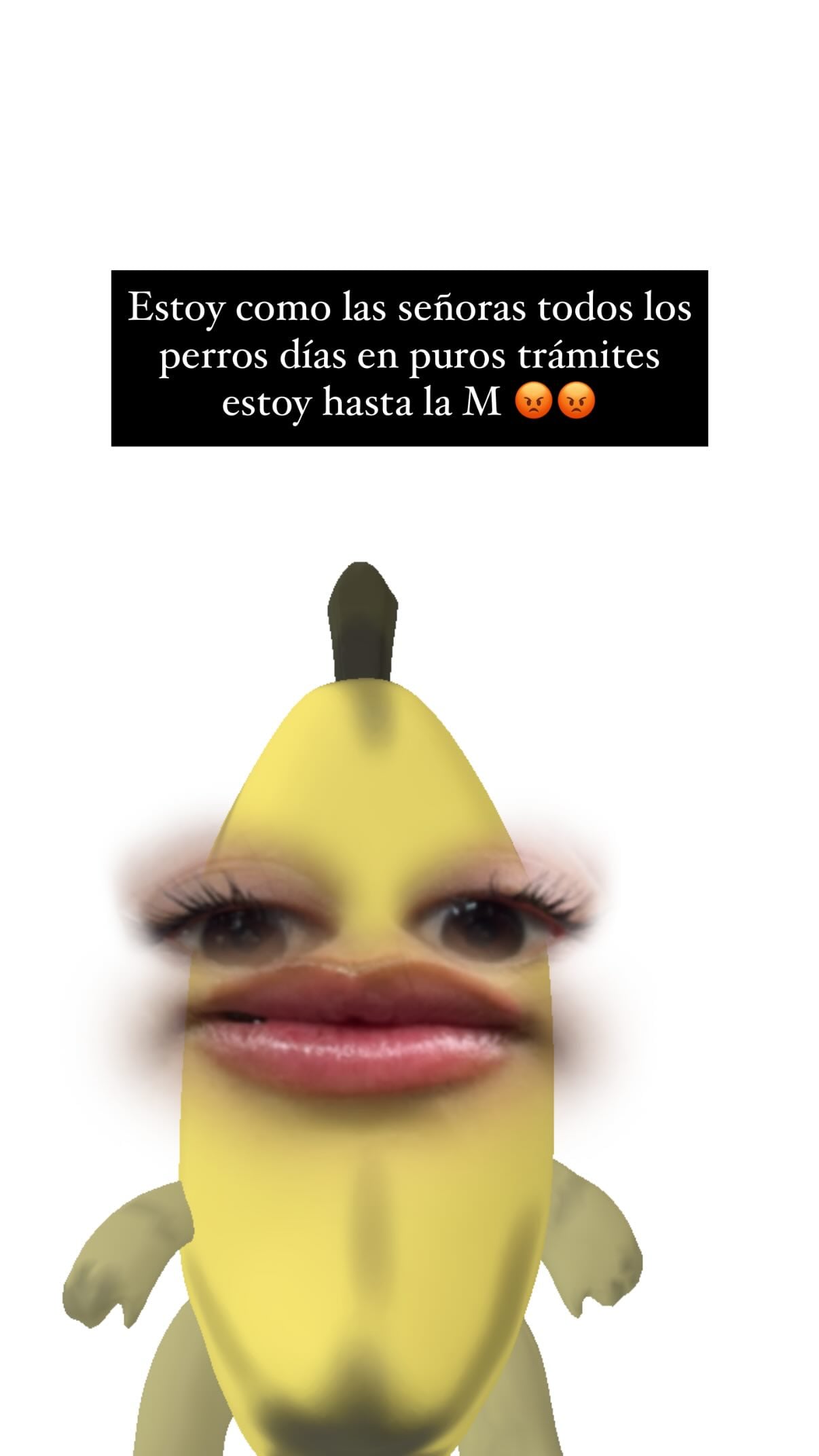 ¿Rubí Ibarra le dedicó indirecta a Erasmo Catarino?