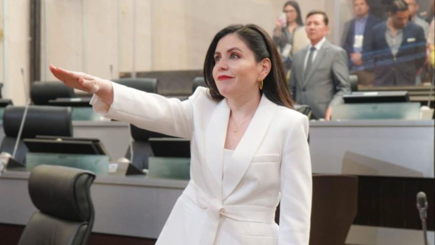 Quién es Ana Patricia Briseño Torres? Integrante del Comité de Evaluación  para candidatos a la elección del Poder Judicial