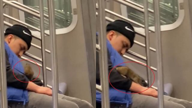 Pasajero se duerme en el vagón de metro y una rata le recorrió el cuerpo