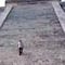 VIDEO: Turista sube a pirámide de Chichén Itzá