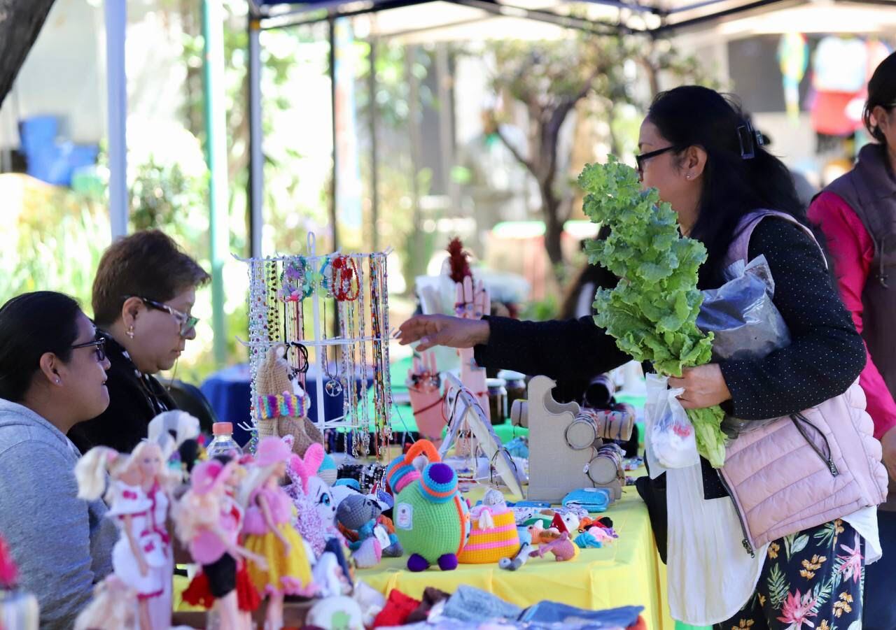 Ferias del empleo impulsan el comercio en Álvaro Obregón: Lía Limón