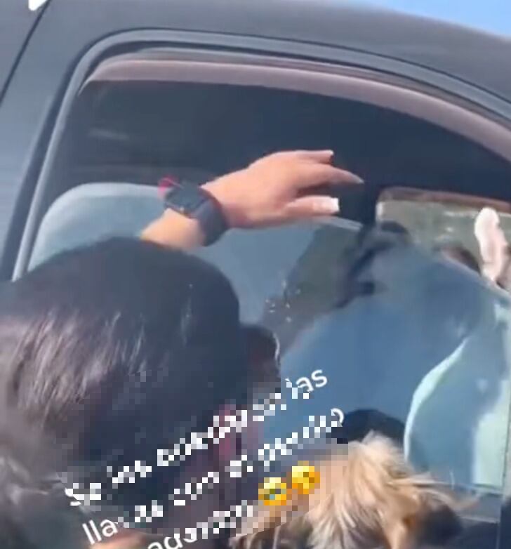 Perrito se queda encerrado en el carro