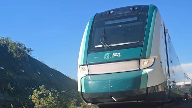Tren Maya