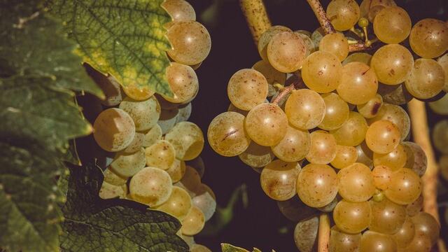 Uva mata a niño de 3 en España