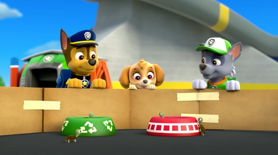 Paw Patrol por el Día Mundial de las Tortugas