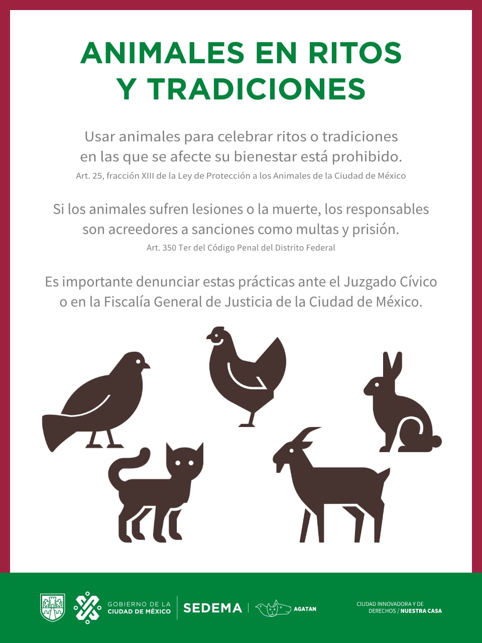 CDMX NO PERMITE ANIMALES EN RITOS Y TRADICIONES
