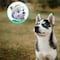 ¿Cómo cuidar y alimentar a un husky? 5 tips si tienes una Everest cachorro como la de Paw Patrol