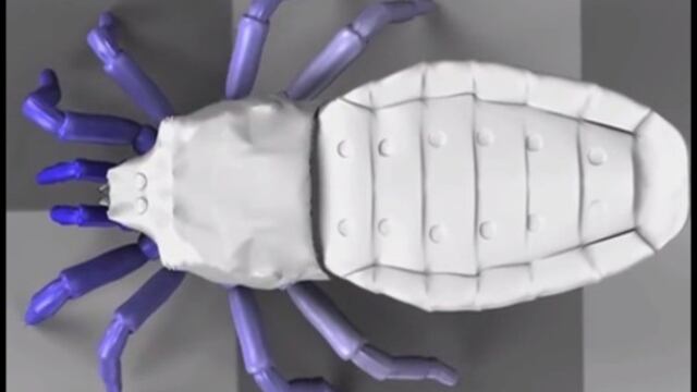 Foto: Youtube New Scientist