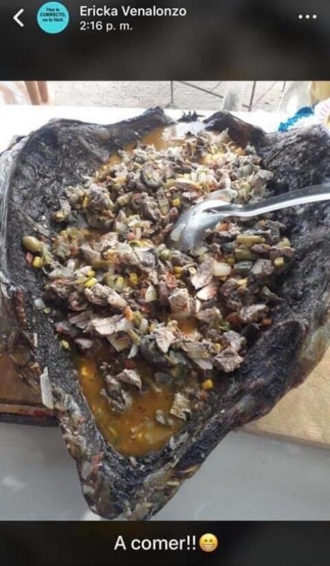 Caguama en su caparazón
