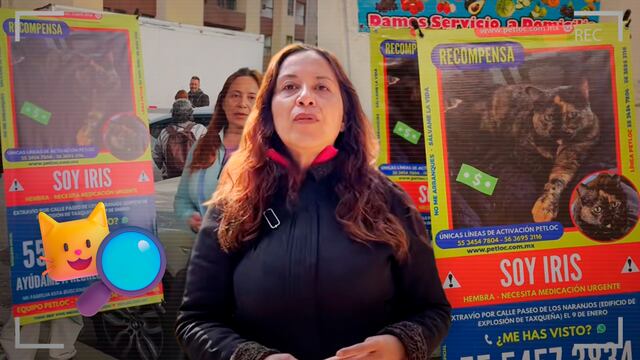 Buscan a Iris, gata perdida tras explosión en Paseos de Taxqueña