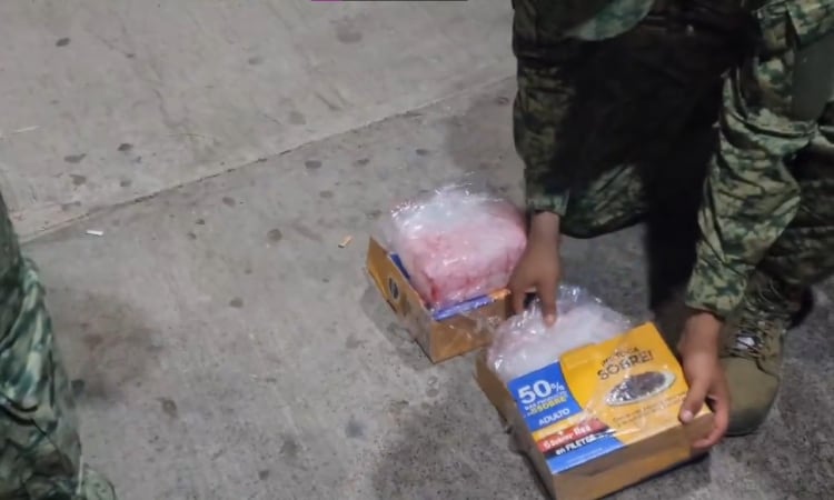 Croquetas con metanfetamina: Decomisan droga oculta en comida para perros