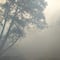 ¿Qué pasa en Santa María Ixtepeji? Un fuerte incendio consume zona boscosa de la sierra norte