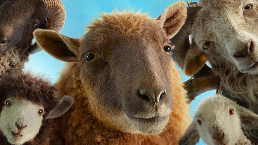 Reseña de Las Ovejas Detectives: humor y amistad en una película entrañable
