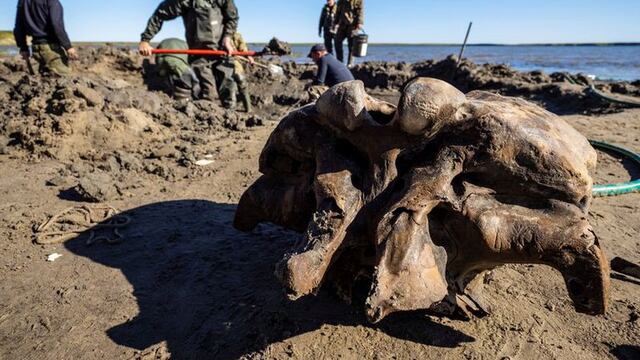 Restos de mamut en el Lago Pechevalavato