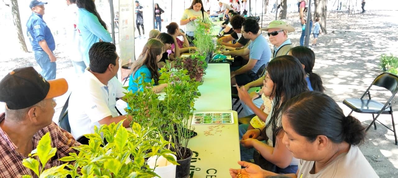 Monterrey promueve educación ambiental con “Alameda de Pinta”.