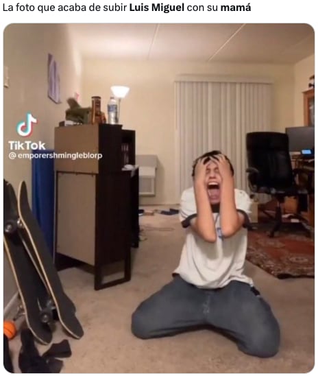 Reacciones por la foto de Luis Miguel y Marcela Basteri en el Día de las Madres